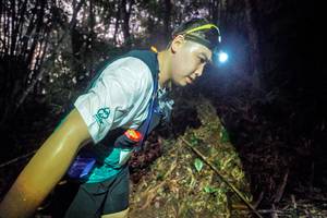 BIB: 
                            <button type="button" onclick="openModal(26519793)" class="btn btn-primary btn-sm float-right btn-popup" data-toggle="modal" data-target=".modal-high-quality">
                        <i class="fas fa-shopping-cart"></i> Add to Cart
                    </button>
                                            <button type="button" onclick="isThisMe(26519793, true)" class="btn btn-success btn-sm float-right btn-popup btn-isme hidden" data-toggle="tooltip" data-placement="bottom" title="นี่คือรูปของคุณใช่ไหม คลิกที่นี่เพื่อเอาเข้าอัลบั้ม">
                        <i class="fas fa-plus"></i> Add to album
                    </button>
                    <button type="button" onclick="isThisMe(26519793, false)" class="btn btn-warning btn-sm float-right btn-popup btn-isnotme hidden">
                        <i class="fas fa-ban"></i> Remove from album
                    </button>