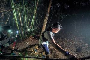 BIB: 
                            <button type="button" onclick="openModal(26518995)" class="btn btn-primary btn-sm float-right btn-popup" data-toggle="modal" data-target=".modal-high-quality">
                        <i class="fas fa-shopping-cart"></i> Add to Cart
                    </button>
                                            <button type="button" onclick="isThisMe(26518995, true)" class="btn btn-success btn-sm float-right btn-popup btn-isme hidden" data-toggle="tooltip" data-placement="bottom" title="นี่คือรูปของคุณใช่ไหม คลิกที่นี่เพื่อเอาเข้าอัลบั้ม">
                        <i class="fas fa-plus"></i> Add to album
                    </button>
                    <button type="button" onclick="isThisMe(26518995, false)" class="btn btn-warning btn-sm float-right btn-popup btn-isnotme hidden">
                        <i class="fas fa-ban"></i> Remove from album
                    </button>