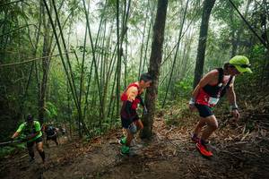 BIB: 
                            <button type="button" onclick="openModal(26524178)" class="btn btn-primary btn-sm float-right btn-popup" data-toggle="modal" data-target=".modal-high-quality">
                        <i class="fas fa-shopping-cart"></i> Add to Cart
                    </button>
                                            <button type="button" onclick="isThisMe(26524178, true)" class="btn btn-success btn-sm float-right btn-popup btn-isme hidden" data-toggle="tooltip" data-placement="bottom" title="นี่คือรูปของคุณใช่ไหม คลิกที่นี่เพื่อเอาเข้าอัลบั้ม">
                        <i class="fas fa-plus"></i> Add to album
                    </button>
                    <button type="button" onclick="isThisMe(26524178, false)" class="btn btn-warning btn-sm float-right btn-popup btn-isnotme hidden">
                        <i class="fas fa-ban"></i> Remove from album
                    </button>