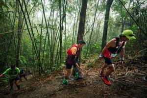 BIB: 
                            <button type="button" onclick="openModal(26524180)" class="btn btn-primary btn-sm float-right btn-popup" data-toggle="modal" data-target=".modal-high-quality">
                        <i class="fas fa-shopping-cart"></i> Add to Cart
                    </button>
                                            <button type="button" onclick="isThisMe(26524180, true)" class="btn btn-success btn-sm float-right btn-popup btn-isme hidden" data-toggle="tooltip" data-placement="bottom" title="นี่คือรูปของคุณใช่ไหม คลิกที่นี่เพื่อเอาเข้าอัลบั้ม">
                        <i class="fas fa-plus"></i> Add to album
                    </button>
                    <button type="button" onclick="isThisMe(26524180, false)" class="btn btn-warning btn-sm float-right btn-popup btn-isnotme hidden">
                        <i class="fas fa-ban"></i> Remove from album
                    </button>