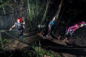 BIB: 
                            <button type="button" onclick="openModal(26518356)" class="btn btn-primary btn-sm float-right btn-popup" data-toggle="modal" data-target=".modal-high-quality">
                        <i class="fas fa-shopping-cart"></i> Add to Cart
                    </button>
                                            <button type="button" onclick="isThisMe(26518356, true)" class="btn btn-success btn-sm float-right btn-popup btn-isme hidden" data-toggle="tooltip" data-placement="bottom" title="นี่คือรูปของคุณใช่ไหม คลิกที่นี่เพื่อเอาเข้าอัลบั้ม">
                        <i class="fas fa-plus"></i> Add to album
                    </button>
                    <button type="button" onclick="isThisMe(26518356, false)" class="btn btn-warning btn-sm float-right btn-popup btn-isnotme hidden">
                        <i class="fas fa-ban"></i> Remove from album
                    </button>