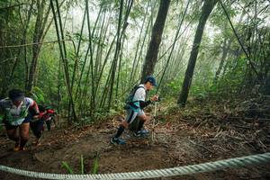 BIB: 
                            <button type="button" onclick="openModal(26524379)" class="btn btn-primary btn-sm float-right btn-popup" data-toggle="modal" data-target=".modal-high-quality">
                        <i class="fas fa-shopping-cart"></i> Add to Cart
                    </button>
                                            <button type="button" onclick="isThisMe(26524379, true)" class="btn btn-success btn-sm float-right btn-popup btn-isme hidden" data-toggle="tooltip" data-placement="bottom" title="นี่คือรูปของคุณใช่ไหม คลิกที่นี่เพื่อเอาเข้าอัลบั้ม">
                        <i class="fas fa-plus"></i> Add to album
                    </button>
                    <button type="button" onclick="isThisMe(26524379, false)" class="btn btn-warning btn-sm float-right btn-popup btn-isnotme hidden">
                        <i class="fas fa-ban"></i> Remove from album
                    </button>