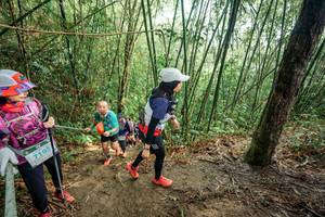 BIB: 
                            <button type="button" onclick="openModal(26507492)" class="btn btn-primary btn-sm float-right btn-popup" data-toggle="modal" data-target=".modal-high-quality">
                        <i class="fas fa-shopping-cart"></i> Add to Cart
                    </button>
                                            <button type="button" onclick="isThisMe(26507492, true)" class="btn btn-success btn-sm float-right btn-popup btn-isme hidden" data-toggle="tooltip" data-placement="bottom" title="นี่คือรูปของคุณใช่ไหม คลิกที่นี่เพื่อเอาเข้าอัลบั้ม">
                        <i class="fas fa-plus"></i> Add to album
                    </button>
                    <button type="button" onclick="isThisMe(26507492, false)" class="btn btn-warning btn-sm float-right btn-popup btn-isnotme hidden">
                        <i class="fas fa-ban"></i> Remove from album
                    </button>