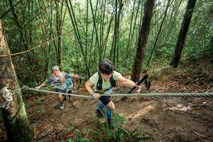 BIB: 
                            <button type="button" onclick="openModal(26508737)" class="btn btn-primary btn-sm float-right btn-popup" data-toggle="modal" data-target=".modal-high-quality">
                        <i class="fas fa-shopping-cart"></i> Add to Cart
                    </button>
                                            <button type="button" onclick="isThisMe(26508737, true)" class="btn btn-success btn-sm float-right btn-popup btn-isme hidden" data-toggle="tooltip" data-placement="bottom" title="นี่คือรูปของคุณใช่ไหม คลิกที่นี่เพื่อเอาเข้าอัลบั้ม">
                        <i class="fas fa-plus"></i> Add to album
                    </button>
                    <button type="button" onclick="isThisMe(26508737, false)" class="btn btn-warning btn-sm float-right btn-popup btn-isnotme hidden">
                        <i class="fas fa-ban"></i> Remove from album
                    </button>