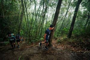 BIB: 
                            <button type="button" onclick="openModal(26524124)" class="btn btn-primary btn-sm float-right btn-popup" data-toggle="modal" data-target=".modal-high-quality">
                        <i class="fas fa-shopping-cart"></i> Add to Cart
                    </button>
                                            <button type="button" onclick="isThisMe(26524124, true)" class="btn btn-success btn-sm float-right btn-popup btn-isme hidden" data-toggle="tooltip" data-placement="bottom" title="นี่คือรูปของคุณใช่ไหม คลิกที่นี่เพื่อเอาเข้าอัลบั้ม">
                        <i class="fas fa-plus"></i> Add to album
                    </button>
                    <button type="button" onclick="isThisMe(26524124, false)" class="btn btn-warning btn-sm float-right btn-popup btn-isnotme hidden">
                        <i class="fas fa-ban"></i> Remove from album
                    </button>