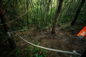 BIB: 
                            <button type="button" onclick="openModal(26523782)" class="btn btn-primary btn-sm float-right btn-popup" data-toggle="modal" data-target=".modal-high-quality">
                        <i class="fas fa-shopping-cart"></i> Add to Cart
                    </button>
                                            <button type="button" onclick="isThisMe(26523782, true)" class="btn btn-success btn-sm float-right btn-popup btn-isme hidden" data-toggle="tooltip" data-placement="bottom" title="นี่คือรูปของคุณใช่ไหม คลิกที่นี่เพื่อเอาเข้าอัลบั้ม">
                        <i class="fas fa-plus"></i> Add to album
                    </button>
                    <button type="button" onclick="isThisMe(26523782, false)" class="btn btn-warning btn-sm float-right btn-popup btn-isnotme hidden">
                        <i class="fas fa-ban"></i> Remove from album
                    </button>