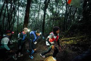 BIB: 
                            <button type="button" onclick="openModal(26521264)" class="btn btn-primary btn-sm float-right btn-popup" data-toggle="modal" data-target=".modal-high-quality">
                        <i class="fas fa-shopping-cart"></i> Add to Cart
                    </button>
                                            <button type="button" onclick="isThisMe(26521264, true)" class="btn btn-success btn-sm float-right btn-popup btn-isme hidden" data-toggle="tooltip" data-placement="bottom" title="นี่คือรูปของคุณใช่ไหม คลิกที่นี่เพื่อเอาเข้าอัลบั้ม">
                        <i class="fas fa-plus"></i> Add to album
                    </button>
                    <button type="button" onclick="isThisMe(26521264, false)" class="btn btn-warning btn-sm float-right btn-popup btn-isnotme hidden">
                        <i class="fas fa-ban"></i> Remove from album
                    </button>