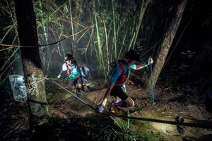 BIB: 
                            <button type="button" onclick="openModal(26518711)" class="btn btn-primary btn-sm float-right btn-popup" data-toggle="modal" data-target=".modal-high-quality">
                        <i class="fas fa-shopping-cart"></i> Add to Cart
                    </button>
                                            <button type="button" onclick="isThisMe(26518711, true)" class="btn btn-success btn-sm float-right btn-popup btn-isme hidden" data-toggle="tooltip" data-placement="bottom" title="นี่คือรูปของคุณใช่ไหม คลิกที่นี่เพื่อเอาเข้าอัลบั้ม">
                        <i class="fas fa-plus"></i> Add to album
                    </button>
                    <button type="button" onclick="isThisMe(26518711, false)" class="btn btn-warning btn-sm float-right btn-popup btn-isnotme hidden">
                        <i class="fas fa-ban"></i> Remove from album
                    </button>