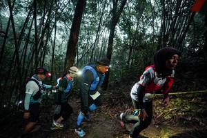 BIB: 
                            <button type="button" onclick="openModal(26521300)" class="btn btn-primary btn-sm float-right btn-popup" data-toggle="modal" data-target=".modal-high-quality">
                        <i class="fas fa-shopping-cart"></i> Add to Cart
                    </button>
                                            <button type="button" onclick="isThisMe(26521300, true)" class="btn btn-success btn-sm float-right btn-popup btn-isme hidden" data-toggle="tooltip" data-placement="bottom" title="นี่คือรูปของคุณใช่ไหม คลิกที่นี่เพื่อเอาเข้าอัลบั้ม">
                        <i class="fas fa-plus"></i> Add to album
                    </button>
                    <button type="button" onclick="isThisMe(26521300, false)" class="btn btn-warning btn-sm float-right btn-popup btn-isnotme hidden">
                        <i class="fas fa-ban"></i> Remove from album
                    </button>