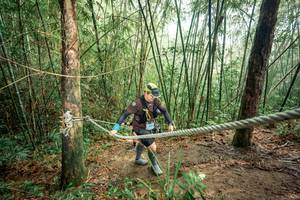 BIB: 
                            <button type="button" onclick="openModal(26508217)" class="btn btn-primary btn-sm float-right btn-popup" data-toggle="modal" data-target=".modal-high-quality">
                        <i class="fas fa-shopping-cart"></i> Add to Cart
                    </button>
                                            <button type="button" onclick="isThisMe(26508217, true)" class="btn btn-success btn-sm float-right btn-popup btn-isme hidden" data-toggle="tooltip" data-placement="bottom" title="นี่คือรูปของคุณใช่ไหม คลิกที่นี่เพื่อเอาเข้าอัลบั้ม">
                        <i class="fas fa-plus"></i> Add to album
                    </button>
                    <button type="button" onclick="isThisMe(26508217, false)" class="btn btn-warning btn-sm float-right btn-popup btn-isnotme hidden">
                        <i class="fas fa-ban"></i> Remove from album
                    </button>