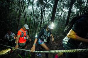 BIB: 
                            <button type="button" onclick="openModal(26521497)" class="btn btn-primary btn-sm float-right btn-popup" data-toggle="modal" data-target=".modal-high-quality">
                        <i class="fas fa-shopping-cart"></i> Add to Cart
                    </button>
                                            <button type="button" onclick="isThisMe(26521497, true)" class="btn btn-success btn-sm float-right btn-popup btn-isme hidden" data-toggle="tooltip" data-placement="bottom" title="นี่คือรูปของคุณใช่ไหม คลิกที่นี่เพื่อเอาเข้าอัลบั้ม">
                        <i class="fas fa-plus"></i> Add to album
                    </button>
                    <button type="button" onclick="isThisMe(26521497, false)" class="btn btn-warning btn-sm float-right btn-popup btn-isnotme hidden">
                        <i class="fas fa-ban"></i> Remove from album
                    </button>