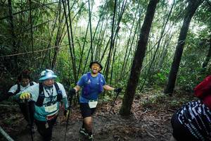 BIB: 
                            <button type="button" onclick="openModal(26523515)" class="btn btn-primary btn-sm float-right btn-popup" data-toggle="modal" data-target=".modal-high-quality">
                        <i class="fas fa-shopping-cart"></i> Add to Cart
                    </button>
                                            <button type="button" onclick="isThisMe(26523515, true)" class="btn btn-success btn-sm float-right btn-popup btn-isme hidden" data-toggle="tooltip" data-placement="bottom" title="นี่คือรูปของคุณใช่ไหม คลิกที่นี่เพื่อเอาเข้าอัลบั้ม">
                        <i class="fas fa-plus"></i> Add to album
                    </button>
                    <button type="button" onclick="isThisMe(26523515, false)" class="btn btn-warning btn-sm float-right btn-popup btn-isnotme hidden">
                        <i class="fas fa-ban"></i> Remove from album
                    </button>