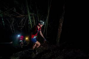 BIB: 
                            <button type="button" onclick="openModal(26516522)" class="btn btn-primary btn-sm float-right btn-popup" data-toggle="modal" data-target=".modal-high-quality">
                        <i class="fas fa-shopping-cart"></i> Add to Cart
                    </button>
                                            <button type="button" onclick="isThisMe(26516522, true)" class="btn btn-success btn-sm float-right btn-popup btn-isme hidden" data-toggle="tooltip" data-placement="bottom" title="นี่คือรูปของคุณใช่ไหม คลิกที่นี่เพื่อเอาเข้าอัลบั้ม">
                        <i class="fas fa-plus"></i> Add to album
                    </button>
                    <button type="button" onclick="isThisMe(26516522, false)" class="btn btn-warning btn-sm float-right btn-popup btn-isnotme hidden">
                        <i class="fas fa-ban"></i> Remove from album
                    </button>