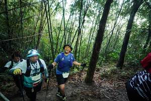 BIB: 
                            <button type="button" onclick="openModal(26523516)" class="btn btn-primary btn-sm float-right btn-popup" data-toggle="modal" data-target=".modal-high-quality">
                        <i class="fas fa-shopping-cart"></i> Add to Cart
                    </button>
                                            <button type="button" onclick="isThisMe(26523516, true)" class="btn btn-success btn-sm float-right btn-popup btn-isme hidden" data-toggle="tooltip" data-placement="bottom" title="นี่คือรูปของคุณใช่ไหม คลิกที่นี่เพื่อเอาเข้าอัลบั้ม">
                        <i class="fas fa-plus"></i> Add to album
                    </button>
                    <button type="button" onclick="isThisMe(26523516, false)" class="btn btn-warning btn-sm float-right btn-popup btn-isnotme hidden">
                        <i class="fas fa-ban"></i> Remove from album
                    </button>