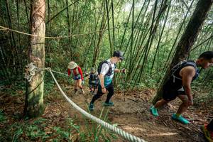 BIB: 
                            <button type="button" onclick="openModal(26508940)" class="btn btn-primary btn-sm float-right btn-popup" data-toggle="modal" data-target=".modal-high-quality">
                        <i class="fas fa-shopping-cart"></i> Add to Cart
                    </button>
                                            <button type="button" onclick="isThisMe(26508940, true)" class="btn btn-success btn-sm float-right btn-popup btn-isme hidden" data-toggle="tooltip" data-placement="bottom" title="นี่คือรูปของคุณใช่ไหม คลิกที่นี่เพื่อเอาเข้าอัลบั้ม">
                        <i class="fas fa-plus"></i> Add to album
                    </button>
                    <button type="button" onclick="isThisMe(26508940, false)" class="btn btn-warning btn-sm float-right btn-popup btn-isnotme hidden">
                        <i class="fas fa-ban"></i> Remove from album
                    </button>