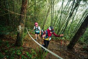 BIB: 
                            <button type="button" onclick="openModal(26524595)" class="btn btn-primary btn-sm float-right btn-popup" data-toggle="modal" data-target=".modal-high-quality">
                        <i class="fas fa-shopping-cart"></i> Add to Cart
                    </button>
                                            <button type="button" onclick="isThisMe(26524595, true)" class="btn btn-success btn-sm float-right btn-popup btn-isme hidden" data-toggle="tooltip" data-placement="bottom" title="นี่คือรูปของคุณใช่ไหม คลิกที่นี่เพื่อเอาเข้าอัลบั้ม">
                        <i class="fas fa-plus"></i> Add to album
                    </button>
                    <button type="button" onclick="isThisMe(26524595, false)" class="btn btn-warning btn-sm float-right btn-popup btn-isnotme hidden">
                        <i class="fas fa-ban"></i> Remove from album
                    </button>