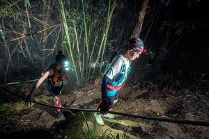 BIB: 
                            <button type="button" onclick="openModal(26518831)" class="btn btn-primary btn-sm float-right btn-popup" data-toggle="modal" data-target=".modal-high-quality">
                        <i class="fas fa-shopping-cart"></i> Add to Cart
                    </button>
                                            <button type="button" onclick="isThisMe(26518831, true)" class="btn btn-success btn-sm float-right btn-popup btn-isme hidden" data-toggle="tooltip" data-placement="bottom" title="นี่คือรูปของคุณใช่ไหม คลิกที่นี่เพื่อเอาเข้าอัลบั้ม">
                        <i class="fas fa-plus"></i> Add to album
                    </button>
                    <button type="button" onclick="isThisMe(26518831, false)" class="btn btn-warning btn-sm float-right btn-popup btn-isnotme hidden">
                        <i class="fas fa-ban"></i> Remove from album
                    </button>