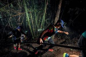 BIB: 
                            <button type="button" onclick="openModal(26517557)" class="btn btn-primary btn-sm float-right btn-popup" data-toggle="modal" data-target=".modal-high-quality">
                        <i class="fas fa-shopping-cart"></i> Add to Cart
                    </button>
                                            <button type="button" onclick="isThisMe(26517557, true)" class="btn btn-success btn-sm float-right btn-popup btn-isme hidden" data-toggle="tooltip" data-placement="bottom" title="นี่คือรูปของคุณใช่ไหม คลิกที่นี่เพื่อเอาเข้าอัลบั้ม">
                        <i class="fas fa-plus"></i> Add to album
                    </button>
                    <button type="button" onclick="isThisMe(26517557, false)" class="btn btn-warning btn-sm float-right btn-popup btn-isnotme hidden">
                        <i class="fas fa-ban"></i> Remove from album
                    </button>