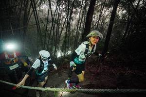 BIB: 
                            <button type="button" onclick="openModal(26519915)" class="btn btn-primary btn-sm float-right btn-popup" data-toggle="modal" data-target=".modal-high-quality">
                        <i class="fas fa-shopping-cart"></i> Add to Cart
                    </button>
                                            <button type="button" onclick="isThisMe(26519915, true)" class="btn btn-success btn-sm float-right btn-popup btn-isme hidden" data-toggle="tooltip" data-placement="bottom" title="นี่คือรูปของคุณใช่ไหม คลิกที่นี่เพื่อเอาเข้าอัลบั้ม">
                        <i class="fas fa-plus"></i> Add to album
                    </button>
                    <button type="button" onclick="isThisMe(26519915, false)" class="btn btn-warning btn-sm float-right btn-popup btn-isnotme hidden">
                        <i class="fas fa-ban"></i> Remove from album
                    </button>