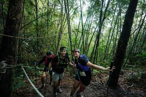 BIB: 
                            <button type="button" onclick="openModal(26523624)" class="btn btn-primary btn-sm float-right btn-popup" data-toggle="modal" data-target=".modal-high-quality">
                        <i class="fas fa-shopping-cart"></i> Add to Cart
                    </button>
                                            <button type="button" onclick="isThisMe(26523624, true)" class="btn btn-success btn-sm float-right btn-popup btn-isme hidden" data-toggle="tooltip" data-placement="bottom" title="นี่คือรูปของคุณใช่ไหม คลิกที่นี่เพื่อเอาเข้าอัลบั้ม">
                        <i class="fas fa-plus"></i> Add to album
                    </button>
                    <button type="button" onclick="isThisMe(26523624, false)" class="btn btn-warning btn-sm float-right btn-popup btn-isnotme hidden">
                        <i class="fas fa-ban"></i> Remove from album
                    </button>