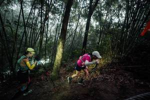 BIB: 
                            <button type="button" onclick="openModal(26520126)" class="btn btn-primary btn-sm float-right btn-popup" data-toggle="modal" data-target=".modal-high-quality">
                        <i class="fas fa-shopping-cart"></i> Add to Cart
                    </button>
                                            <button type="button" onclick="isThisMe(26520126, true)" class="btn btn-success btn-sm float-right btn-popup btn-isme hidden" data-toggle="tooltip" data-placement="bottom" title="นี่คือรูปของคุณใช่ไหม คลิกที่นี่เพื่อเอาเข้าอัลบั้ม">
                        <i class="fas fa-plus"></i> Add to album
                    </button>
                    <button type="button" onclick="isThisMe(26520126, false)" class="btn btn-warning btn-sm float-right btn-popup btn-isnotme hidden">
                        <i class="fas fa-ban"></i> Remove from album
                    </button>