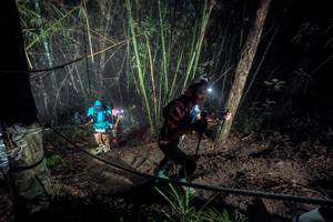 BIB: 
                            <button type="button" onclick="openModal(26517901)" class="btn btn-primary btn-sm float-right btn-popup" data-toggle="modal" data-target=".modal-high-quality">
                        <i class="fas fa-shopping-cart"></i> Add to Cart
                    </button>
                                            <button type="button" onclick="isThisMe(26517901, true)" class="btn btn-success btn-sm float-right btn-popup btn-isme hidden" data-toggle="tooltip" data-placement="bottom" title="นี่คือรูปของคุณใช่ไหม คลิกที่นี่เพื่อเอาเข้าอัลบั้ม">
                        <i class="fas fa-plus"></i> Add to album
                    </button>
                    <button type="button" onclick="isThisMe(26517901, false)" class="btn btn-warning btn-sm float-right btn-popup btn-isnotme hidden">
                        <i class="fas fa-ban"></i> Remove from album
                    </button>