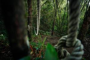 BIB: 
                            <button type="button" onclick="openModal(26523789)" class="btn btn-primary btn-sm float-right btn-popup" data-toggle="modal" data-target=".modal-high-quality">
                        <i class="fas fa-shopping-cart"></i> Add to Cart
                    </button>
                                            <button type="button" onclick="isThisMe(26523789, true)" class="btn btn-success btn-sm float-right btn-popup btn-isme hidden" data-toggle="tooltip" data-placement="bottom" title="นี่คือรูปของคุณใช่ไหม คลิกที่นี่เพื่อเอาเข้าอัลบั้ม">
                        <i class="fas fa-plus"></i> Add to album
                    </button>
                    <button type="button" onclick="isThisMe(26523789, false)" class="btn btn-warning btn-sm float-right btn-popup btn-isnotme hidden">
                        <i class="fas fa-ban"></i> Remove from album
                    </button>