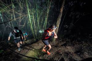 BIB: 
                            <button type="button" onclick="openModal(26519141)" class="btn btn-primary btn-sm float-right btn-popup" data-toggle="modal" data-target=".modal-high-quality">
                        <i class="fas fa-shopping-cart"></i> Add to Cart
                    </button>
                                            <button type="button" onclick="isThisMe(26519141, true)" class="btn btn-success btn-sm float-right btn-popup btn-isme hidden" data-toggle="tooltip" data-placement="bottom" title="นี่คือรูปของคุณใช่ไหม คลิกที่นี่เพื่อเอาเข้าอัลบั้ม">
                        <i class="fas fa-plus"></i> Add to album
                    </button>
                    <button type="button" onclick="isThisMe(26519141, false)" class="btn btn-warning btn-sm float-right btn-popup btn-isnotme hidden">
                        <i class="fas fa-ban"></i> Remove from album
                    </button>