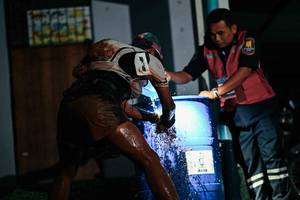 BIB: 
                            <button type="button" onclick="openModal(26498254)" class="btn btn-primary btn-sm float-right btn-popup" data-toggle="modal" data-target=".modal-high-quality">
                        <i class="fas fa-shopping-cart"></i> Add to Cart
                    </button>
                                            <button type="button" onclick="isThisMe(26498254, true)" class="btn btn-success btn-sm float-right btn-popup btn-isme hidden" data-toggle="tooltip" data-placement="bottom" title="นี่คือรูปของคุณใช่ไหม คลิกที่นี่เพื่อเอาเข้าอัลบั้ม">
                        <i class="fas fa-plus"></i> Add to album
                    </button>
                    <button type="button" onclick="isThisMe(26498254, false)" class="btn btn-warning btn-sm float-right btn-popup btn-isnotme hidden">
                        <i class="fas fa-ban"></i> Remove from album
                    </button>