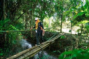 BIB: 
                            <button type="button" onclick="openModal(26290896)" class="btn btn-primary btn-sm float-right btn-popup" data-toggle="modal" data-target=".modal-high-quality">
                        <i class="fas fa-shopping-cart"></i> Add to Cart
                    </button>
                                            <button type="button" onclick="isThisMe(26290896, true)" class="btn btn-success btn-sm float-right btn-popup btn-isme hidden" data-toggle="tooltip" data-placement="bottom" title="นี่คือรูปของคุณใช่ไหม คลิกที่นี่เพื่อเอาเข้าอัลบั้ม">
                        <i class="fas fa-plus"></i> Add to album
                    </button>
                    <button type="button" onclick="isThisMe(26290896, false)" class="btn btn-warning btn-sm float-right btn-popup btn-isnotme hidden">
                        <i class="fas fa-ban"></i> Remove from album
                    </button>