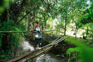 BIB: 
                            <button type="button" onclick="openModal(26288706)" class="btn btn-primary btn-sm float-right btn-popup" data-toggle="modal" data-target=".modal-high-quality">
                        <i class="fas fa-shopping-cart"></i> Add to Cart
                    </button>
                                            <button type="button" onclick="isThisMe(26288706, true)" class="btn btn-success btn-sm float-right btn-popup btn-isme hidden" data-toggle="tooltip" data-placement="bottom" title="นี่คือรูปของคุณใช่ไหม คลิกที่นี่เพื่อเอาเข้าอัลบั้ม">
                        <i class="fas fa-plus"></i> Add to album
                    </button>
                    <button type="button" onclick="isThisMe(26288706, false)" class="btn btn-warning btn-sm float-right btn-popup btn-isnotme hidden">
                        <i class="fas fa-ban"></i> Remove from album
                    </button>