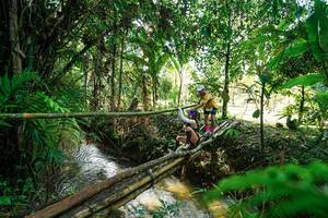 BIB: 
                            <button type="button" onclick="openModal(26289030)" class="btn btn-primary btn-sm float-right btn-popup" data-toggle="modal" data-target=".modal-high-quality">
                        <i class="fas fa-shopping-cart"></i> Add to Cart
                    </button>
                                            <button type="button" onclick="isThisMe(26289030, true)" class="btn btn-success btn-sm float-right btn-popup btn-isme hidden" data-toggle="tooltip" data-placement="bottom" title="นี่คือรูปของคุณใช่ไหม คลิกที่นี่เพื่อเอาเข้าอัลบั้ม">
                        <i class="fas fa-plus"></i> Add to album
                    </button>
                    <button type="button" onclick="isThisMe(26289030, false)" class="btn btn-warning btn-sm float-right btn-popup btn-isnotme hidden">
                        <i class="fas fa-ban"></i> Remove from album
                    </button>