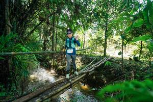 BIB: 
                            <button type="button" onclick="openModal(26289345)" class="btn btn-primary btn-sm float-right btn-popup" data-toggle="modal" data-target=".modal-high-quality">
                        <i class="fas fa-shopping-cart"></i> Add to Cart
                    </button>
                                            <button type="button" onclick="isThisMe(26289345, true)" class="btn btn-success btn-sm float-right btn-popup btn-isme hidden" data-toggle="tooltip" data-placement="bottom" title="นี่คือรูปของคุณใช่ไหม คลิกที่นี่เพื่อเอาเข้าอัลบั้ม">
                        <i class="fas fa-plus"></i> Add to album
                    </button>
                    <button type="button" onclick="isThisMe(26289345, false)" class="btn btn-warning btn-sm float-right btn-popup btn-isnotme hidden">
                        <i class="fas fa-ban"></i> Remove from album
                    </button>