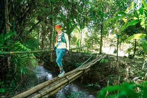 BIB: 
                            <button type="button" onclick="openModal(26291294)" class="btn btn-primary btn-sm float-right btn-popup" data-toggle="modal" data-target=".modal-high-quality">
                        <i class="fas fa-shopping-cart"></i> Add to Cart
                    </button>
                                            <button type="button" onclick="isThisMe(26291294, true)" class="btn btn-success btn-sm float-right btn-popup btn-isme hidden" data-toggle="tooltip" data-placement="bottom" title="นี่คือรูปของคุณใช่ไหม คลิกที่นี่เพื่อเอาเข้าอัลบั้ม">
                        <i class="fas fa-plus"></i> Add to album
                    </button>
                    <button type="button" onclick="isThisMe(26291294, false)" class="btn btn-warning btn-sm float-right btn-popup btn-isnotme hidden">
                        <i class="fas fa-ban"></i> Remove from album
                    </button>