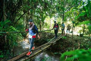 BIB: 
                            <button type="button" onclick="openModal(26289975)" class="btn btn-primary btn-sm float-right btn-popup" data-toggle="modal" data-target=".modal-high-quality">
                        <i class="fas fa-shopping-cart"></i> Add to Cart
                    </button>
                                            <button type="button" onclick="isThisMe(26289975, true)" class="btn btn-success btn-sm float-right btn-popup btn-isme hidden" data-toggle="tooltip" data-placement="bottom" title="นี่คือรูปของคุณใช่ไหม คลิกที่นี่เพื่อเอาเข้าอัลบั้ม">
                        <i class="fas fa-plus"></i> Add to album
                    </button>
                    <button type="button" onclick="isThisMe(26289975, false)" class="btn btn-warning btn-sm float-right btn-popup btn-isnotme hidden">
                        <i class="fas fa-ban"></i> Remove from album
                    </button>