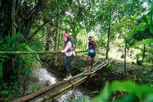 BIB: 
                            <button type="button" onclick="openModal(26288724)" class="btn btn-primary btn-sm float-right btn-popup" data-toggle="modal" data-target=".modal-high-quality">
                        <i class="fas fa-shopping-cart"></i> Add to Cart
                    </button>
                                            <button type="button" onclick="isThisMe(26288724, true)" class="btn btn-success btn-sm float-right btn-popup btn-isme hidden" data-toggle="tooltip" data-placement="bottom" title="นี่คือรูปของคุณใช่ไหม คลิกที่นี่เพื่อเอาเข้าอัลบั้ม">
                        <i class="fas fa-plus"></i> Add to album
                    </button>
                    <button type="button" onclick="isThisMe(26288724, false)" class="btn btn-warning btn-sm float-right btn-popup btn-isnotme hidden">
                        <i class="fas fa-ban"></i> Remove from album
                    </button>