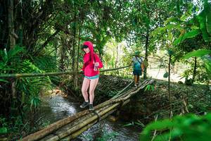 BIB: 
                            <button type="button" onclick="openModal(26290491)" class="btn btn-primary btn-sm float-right btn-popup" data-toggle="modal" data-target=".modal-high-quality">
                        <i class="fas fa-shopping-cart"></i> Add to Cart
                    </button>
                                            <button type="button" onclick="isThisMe(26290491, true)" class="btn btn-success btn-sm float-right btn-popup btn-isme hidden" data-toggle="tooltip" data-placement="bottom" title="นี่คือรูปของคุณใช่ไหม คลิกที่นี่เพื่อเอาเข้าอัลบั้ม">
                        <i class="fas fa-plus"></i> Add to album
                    </button>
                    <button type="button" onclick="isThisMe(26290491, false)" class="btn btn-warning btn-sm float-right btn-popup btn-isnotme hidden">
                        <i class="fas fa-ban"></i> Remove from album
                    </button>