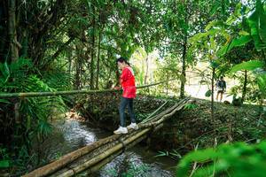 BIB: 
                            <button type="button" onclick="openModal(26290439)" class="btn btn-primary btn-sm float-right btn-popup" data-toggle="modal" data-target=".modal-high-quality">
                        <i class="fas fa-shopping-cart"></i> Add to Cart
                    </button>
                                            <button type="button" onclick="isThisMe(26290439, true)" class="btn btn-success btn-sm float-right btn-popup btn-isme hidden" data-toggle="tooltip" data-placement="bottom" title="นี่คือรูปของคุณใช่ไหม คลิกที่นี่เพื่อเอาเข้าอัลบั้ม">
                        <i class="fas fa-plus"></i> Add to album
                    </button>
                    <button type="button" onclick="isThisMe(26290439, false)" class="btn btn-warning btn-sm float-right btn-popup btn-isnotme hidden">
                        <i class="fas fa-ban"></i> Remove from album
                    </button>