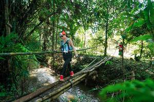 BIB: 
                            <button type="button" onclick="openModal(26289705)" class="btn btn-primary btn-sm float-right btn-popup" data-toggle="modal" data-target=".modal-high-quality">
                        <i class="fas fa-shopping-cart"></i> Add to Cart
                    </button>
                                            <button type="button" onclick="isThisMe(26289705, true)" class="btn btn-success btn-sm float-right btn-popup btn-isme hidden" data-toggle="tooltip" data-placement="bottom" title="นี่คือรูปของคุณใช่ไหม คลิกที่นี่เพื่อเอาเข้าอัลบั้ม">
                        <i class="fas fa-plus"></i> Add to album
                    </button>
                    <button type="button" onclick="isThisMe(26289705, false)" class="btn btn-warning btn-sm float-right btn-popup btn-isnotme hidden">
                        <i class="fas fa-ban"></i> Remove from album
                    </button>