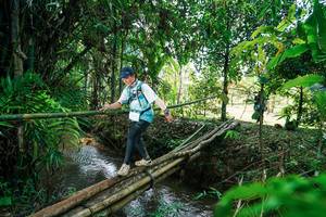 BIB: 
                            <button type="button" onclick="openModal(26290469)" class="btn btn-primary btn-sm float-right btn-popup" data-toggle="modal" data-target=".modal-high-quality">
                        <i class="fas fa-shopping-cart"></i> Add to Cart
                    </button>
                                            <button type="button" onclick="isThisMe(26290469, true)" class="btn btn-success btn-sm float-right btn-popup btn-isme hidden" data-toggle="tooltip" data-placement="bottom" title="นี่คือรูปของคุณใช่ไหม คลิกที่นี่เพื่อเอาเข้าอัลบั้ม">
                        <i class="fas fa-plus"></i> Add to album
                    </button>
                    <button type="button" onclick="isThisMe(26290469, false)" class="btn btn-warning btn-sm float-right btn-popup btn-isnotme hidden">
                        <i class="fas fa-ban"></i> Remove from album
                    </button>