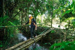 BIB: 
                            <button type="button" onclick="openModal(26290899)" class="btn btn-primary btn-sm float-right btn-popup" data-toggle="modal" data-target=".modal-high-quality">
                        <i class="fas fa-shopping-cart"></i> Add to Cart
                    </button>
                                            <button type="button" onclick="isThisMe(26290899, true)" class="btn btn-success btn-sm float-right btn-popup btn-isme hidden" data-toggle="tooltip" data-placement="bottom" title="นี่คือรูปของคุณใช่ไหม คลิกที่นี่เพื่อเอาเข้าอัลบั้ม">
                        <i class="fas fa-plus"></i> Add to album
                    </button>
                    <button type="button" onclick="isThisMe(26290899, false)" class="btn btn-warning btn-sm float-right btn-popup btn-isnotme hidden">
                        <i class="fas fa-ban"></i> Remove from album
                    </button>