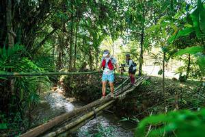 BIB: 
                            <button type="button" onclick="openModal(26290031)" class="btn btn-primary btn-sm float-right btn-popup" data-toggle="modal" data-target=".modal-high-quality">
                        <i class="fas fa-shopping-cart"></i> Add to Cart
                    </button>
                                            <button type="button" onclick="isThisMe(26290031, true)" class="btn btn-success btn-sm float-right btn-popup btn-isme hidden" data-toggle="tooltip" data-placement="bottom" title="นี่คือรูปของคุณใช่ไหม คลิกที่นี่เพื่อเอาเข้าอัลบั้ม">
                        <i class="fas fa-plus"></i> Add to album
                    </button>
                    <button type="button" onclick="isThisMe(26290031, false)" class="btn btn-warning btn-sm float-right btn-popup btn-isnotme hidden">
                        <i class="fas fa-ban"></i> Remove from album
                    </button>