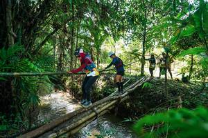 BIB: 
                            <button type="button" onclick="openModal(26289605)" class="btn btn-primary btn-sm float-right btn-popup" data-toggle="modal" data-target=".modal-high-quality">
                        <i class="fas fa-shopping-cart"></i> Add to Cart
                    </button>
                                            <button type="button" onclick="isThisMe(26289605, true)" class="btn btn-success btn-sm float-right btn-popup btn-isme hidden" data-toggle="tooltip" data-placement="bottom" title="นี่คือรูปของคุณใช่ไหม คลิกที่นี่เพื่อเอาเข้าอัลบั้ม">
                        <i class="fas fa-plus"></i> Add to album
                    </button>
                    <button type="button" onclick="isThisMe(26289605, false)" class="btn btn-warning btn-sm float-right btn-popup btn-isnotme hidden">
                        <i class="fas fa-ban"></i> Remove from album
                    </button>