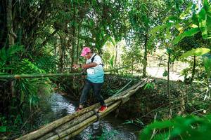 BIB: 
                            <button type="button" onclick="openModal(26290878)" class="btn btn-primary btn-sm float-right btn-popup" data-toggle="modal" data-target=".modal-high-quality">
                        <i class="fas fa-shopping-cart"></i> Add to Cart
                    </button>
                                            <button type="button" onclick="isThisMe(26290878, true)" class="btn btn-success btn-sm float-right btn-popup btn-isme hidden" data-toggle="tooltip" data-placement="bottom" title="นี่คือรูปของคุณใช่ไหม คลิกที่นี่เพื่อเอาเข้าอัลบั้ม">
                        <i class="fas fa-plus"></i> Add to album
                    </button>
                    <button type="button" onclick="isThisMe(26290878, false)" class="btn btn-warning btn-sm float-right btn-popup btn-isnotme hidden">
                        <i class="fas fa-ban"></i> Remove from album
                    </button>