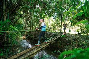 BIB: 
                            <button type="button" onclick="openModal(26290603)" class="btn btn-primary btn-sm float-right btn-popup" data-toggle="modal" data-target=".modal-high-quality">
                        <i class="fas fa-shopping-cart"></i> Add to Cart
                    </button>
                                            <button type="button" onclick="isThisMe(26290603, true)" class="btn btn-success btn-sm float-right btn-popup btn-isme hidden" data-toggle="tooltip" data-placement="bottom" title="นี่คือรูปของคุณใช่ไหม คลิกที่นี่เพื่อเอาเข้าอัลบั้ม">
                        <i class="fas fa-plus"></i> Add to album
                    </button>
                    <button type="button" onclick="isThisMe(26290603, false)" class="btn btn-warning btn-sm float-right btn-popup btn-isnotme hidden">
                        <i class="fas fa-ban"></i> Remove from album
                    </button>