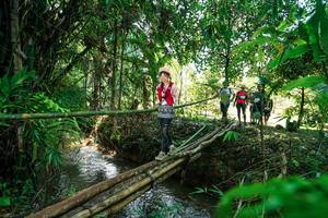 BIB: 
                            <button type="button" onclick="openModal(26290247)" class="btn btn-primary btn-sm float-right btn-popup" data-toggle="modal" data-target=".modal-high-quality">
                        <i class="fas fa-shopping-cart"></i> Add to Cart
                    </button>
                                            <button type="button" onclick="isThisMe(26290247, true)" class="btn btn-success btn-sm float-right btn-popup btn-isme hidden" data-toggle="tooltip" data-placement="bottom" title="นี่คือรูปของคุณใช่ไหม คลิกที่นี่เพื่อเอาเข้าอัลบั้ม">
                        <i class="fas fa-plus"></i> Add to album
                    </button>
                    <button type="button" onclick="isThisMe(26290247, false)" class="btn btn-warning btn-sm float-right btn-popup btn-isnotme hidden">
                        <i class="fas fa-ban"></i> Remove from album
                    </button>