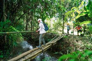 BIB: 
                            <button type="button" onclick="openModal(26291726)" class="btn btn-primary btn-sm float-right btn-popup" data-toggle="modal" data-target=".modal-high-quality">
                        <i class="fas fa-shopping-cart"></i> Add to Cart
                    </button>
                                            <button type="button" onclick="isThisMe(26291726, true)" class="btn btn-success btn-sm float-right btn-popup btn-isme hidden" data-toggle="tooltip" data-placement="bottom" title="นี่คือรูปของคุณใช่ไหม คลิกที่นี่เพื่อเอาเข้าอัลบั้ม">
                        <i class="fas fa-plus"></i> Add to album
                    </button>
                    <button type="button" onclick="isThisMe(26291726, false)" class="btn btn-warning btn-sm float-right btn-popup btn-isnotme hidden">
                        <i class="fas fa-ban"></i> Remove from album
                    </button>