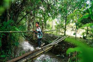 BIB: 
                            <button type="button" onclick="openModal(26288708)" class="btn btn-primary btn-sm float-right btn-popup" data-toggle="modal" data-target=".modal-high-quality">
                        <i class="fas fa-shopping-cart"></i> Add to Cart
                    </button>
                                            <button type="button" onclick="isThisMe(26288708, true)" class="btn btn-success btn-sm float-right btn-popup btn-isme hidden" data-toggle="tooltip" data-placement="bottom" title="นี่คือรูปของคุณใช่ไหม คลิกที่นี่เพื่อเอาเข้าอัลบั้ม">
                        <i class="fas fa-plus"></i> Add to album
                    </button>
                    <button type="button" onclick="isThisMe(26288708, false)" class="btn btn-warning btn-sm float-right btn-popup btn-isnotme hidden">
                        <i class="fas fa-ban"></i> Remove from album
                    </button>