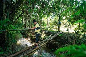 BIB: 
                            <button type="button" onclick="openModal(26289513)" class="btn btn-primary btn-sm float-right btn-popup" data-toggle="modal" data-target=".modal-high-quality">
                        <i class="fas fa-shopping-cart"></i> Add to Cart
                    </button>
                                            <button type="button" onclick="isThisMe(26289513, true)" class="btn btn-success btn-sm float-right btn-popup btn-isme hidden" data-toggle="tooltip" data-placement="bottom" title="นี่คือรูปของคุณใช่ไหม คลิกที่นี่เพื่อเอาเข้าอัลบั้ม">
                        <i class="fas fa-plus"></i> Add to album
                    </button>
                    <button type="button" onclick="isThisMe(26289513, false)" class="btn btn-warning btn-sm float-right btn-popup btn-isnotme hidden">
                        <i class="fas fa-ban"></i> Remove from album
                    </button>