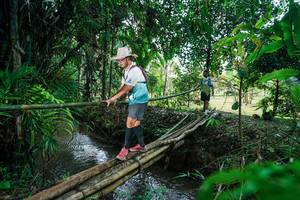 BIB: 
                            <button type="button" onclick="openModal(26290521)" class="btn btn-primary btn-sm float-right btn-popup" data-toggle="modal" data-target=".modal-high-quality">
                        <i class="fas fa-shopping-cart"></i> Add to Cart
                    </button>
                                            <button type="button" onclick="isThisMe(26290521, true)" class="btn btn-success btn-sm float-right btn-popup btn-isme hidden" data-toggle="tooltip" data-placement="bottom" title="นี่คือรูปของคุณใช่ไหม คลิกที่นี่เพื่อเอาเข้าอัลบั้ม">
                        <i class="fas fa-plus"></i> Add to album
                    </button>
                    <button type="button" onclick="isThisMe(26290521, false)" class="btn btn-warning btn-sm float-right btn-popup btn-isnotme hidden">
                        <i class="fas fa-ban"></i> Remove from album
                    </button>